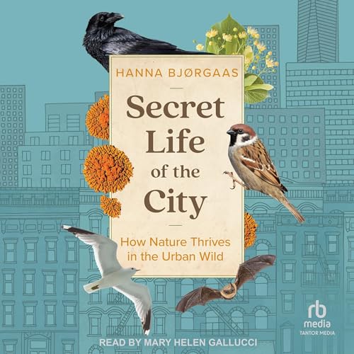 Cover of Secret Life of the City