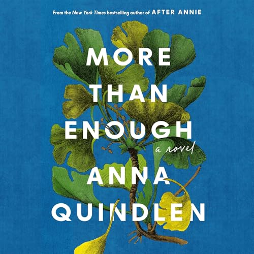 Cover of More Than Enough