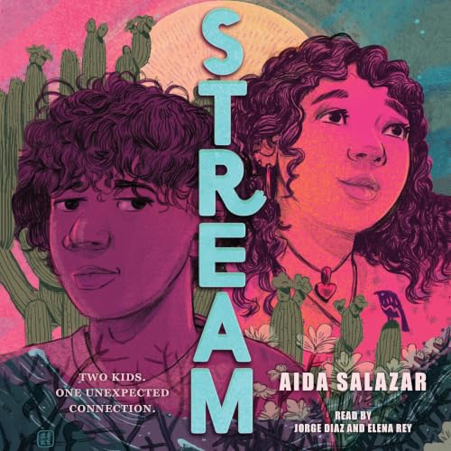 Cover of Stream