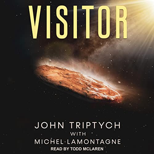 Cover of Visitor