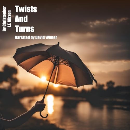 Cover of Twists and Turns