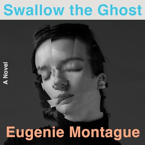 Cover of Swallow the Ghost