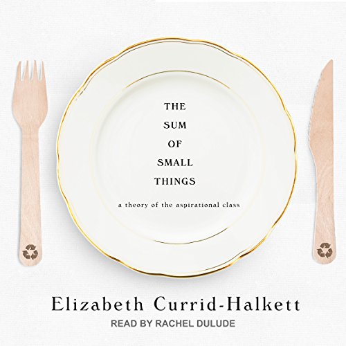 Cover of The Sum of Small Things
