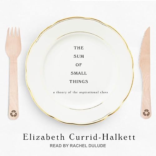 Cover of The Sum of Small Things