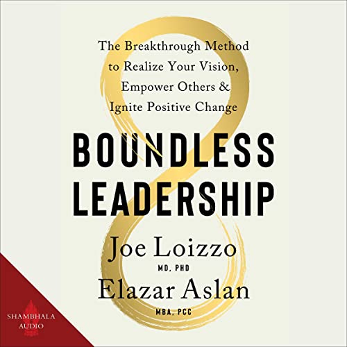 Cover of Boundless Leadership