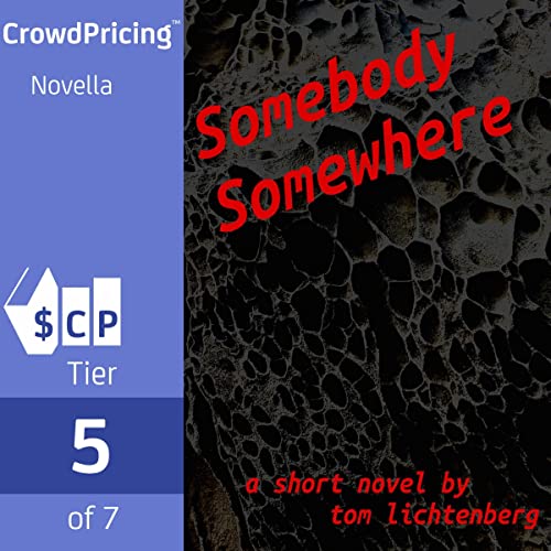 Cover of Somebody Somewhere