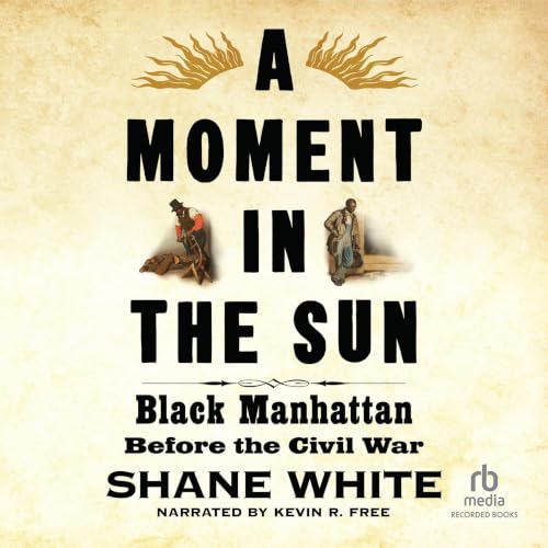 Cover of A Moment in the Sun