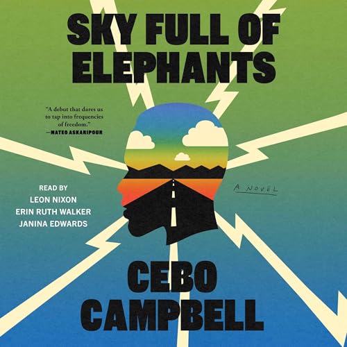 Cover of Sky Full of Elephants