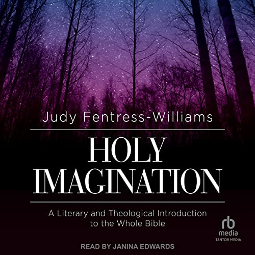 Cover of Holy Imagination