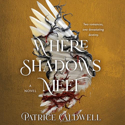Cover of Where Shadows Meet