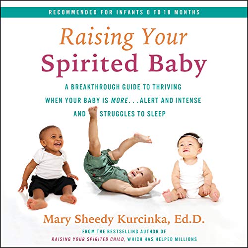 Cover of Raising Your Spirited Baby