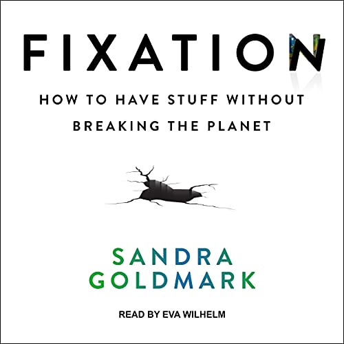 Cover of Fixation