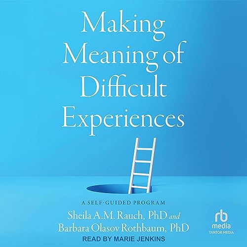 Cover of Making Meaning of Difficult Experiences