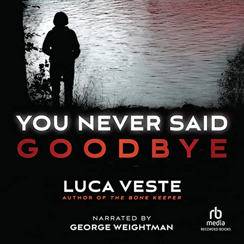 Cover of You Never Said Goodbye