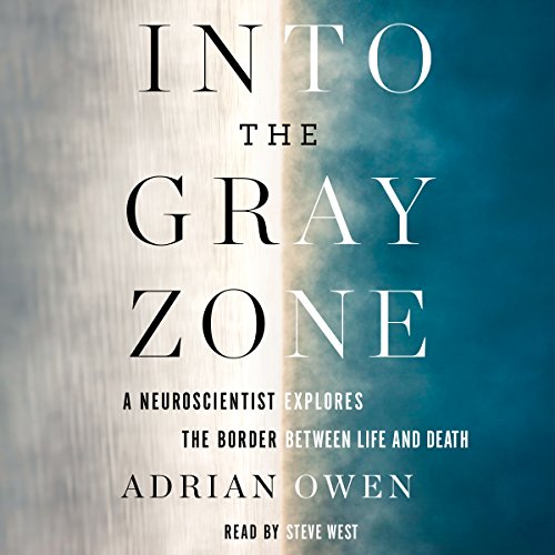Cover of Into the Gray Zone