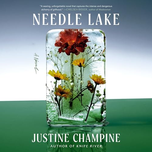 Cover of Needle Lake