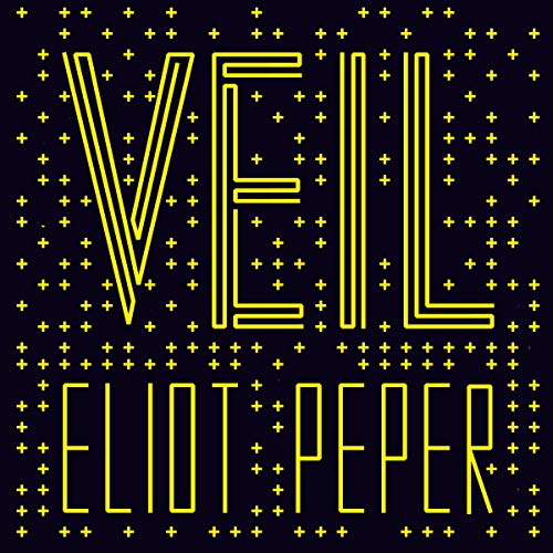 Cover of Veil