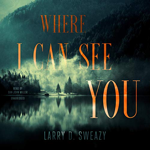 Cover of Where I Can See You