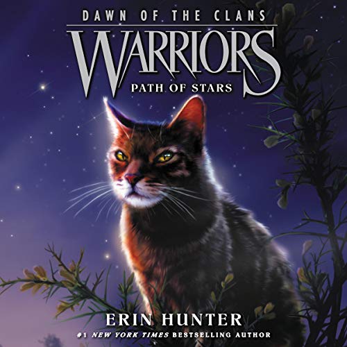 Cover of Warriors: Dawn of the Clans #6: Path of Stars