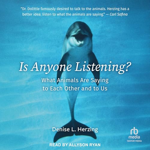 Cover of Is Anyone Listening?