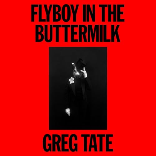 Cover of Flyboy in the Buttermilk