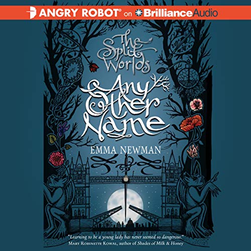 Cover of Any Other Name