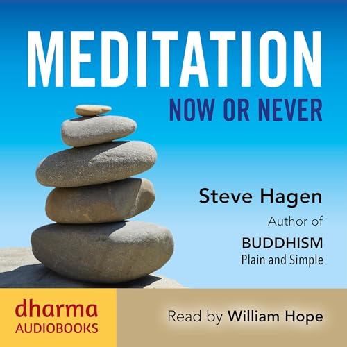 Cover of Meditation Now or Never