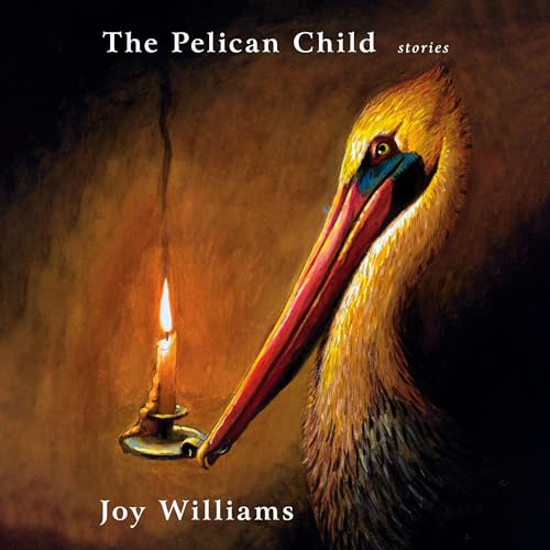 Cover of The Pelican Child