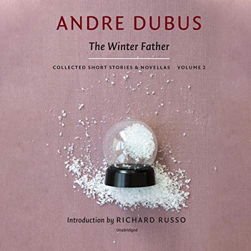 Cover of The Winter Father