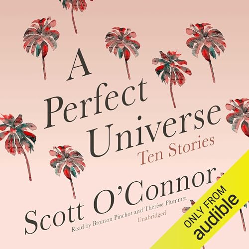 Cover of A Perfect Universe