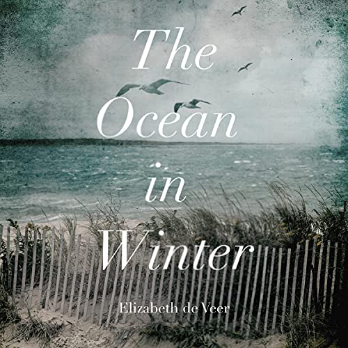 Cover of The Ocean in Winter