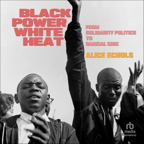 Cover of Black Power, White Heat