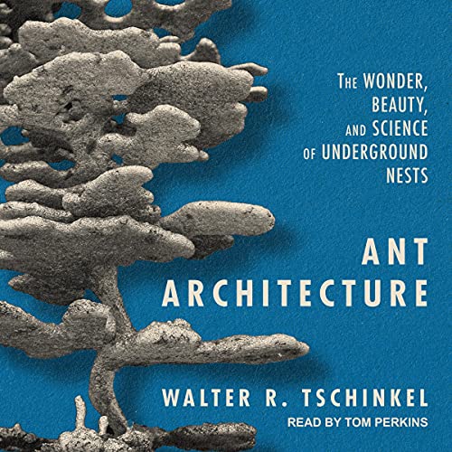 Cover of Ant Architecture
