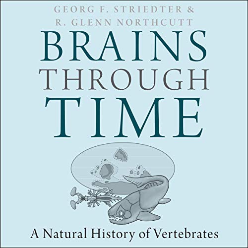 Cover of Brains Through Time