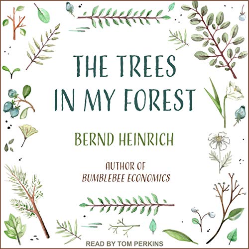 Cover of The Trees in My Forest