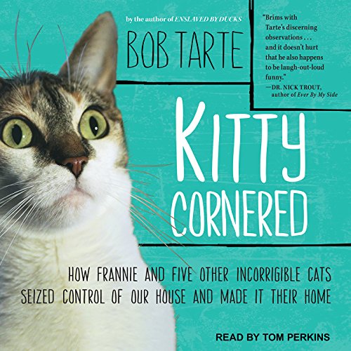 Cover of Kitty Cornered