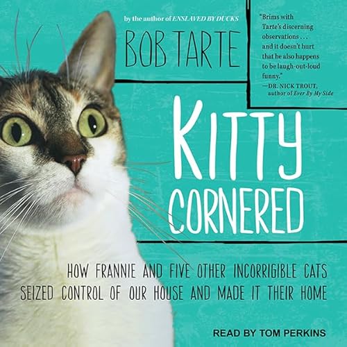 Cover of Kitty Cornered