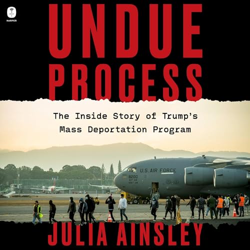 Cover of Undue Process