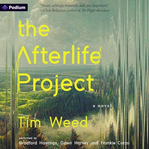 Cover of The Afterlife Project