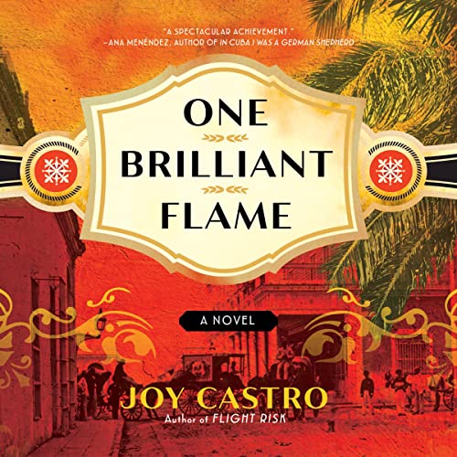 Cover of One Brilliant Flame