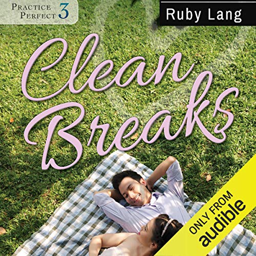Cover of Clean Breaks