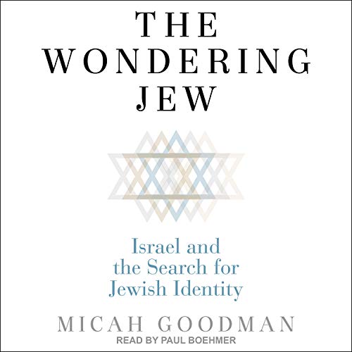 Cover of The Wondering Jew