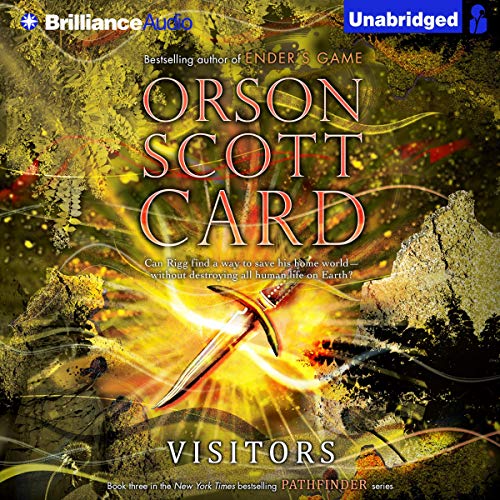 Cover of Visitors