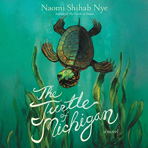 Cover of The Turtle of Michigan