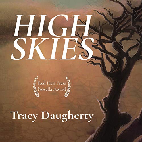 Cover of High Skies