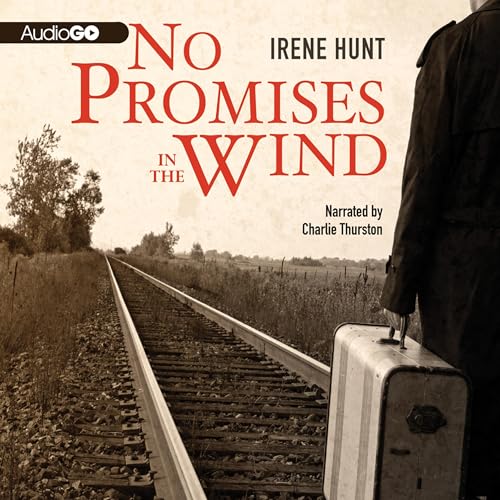 Cover of No Promises in the Wind