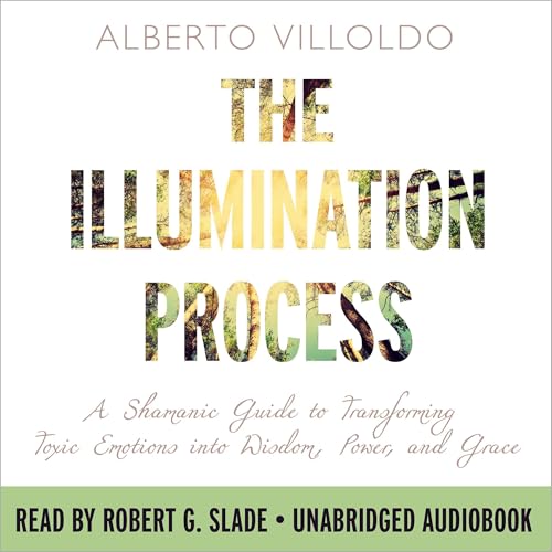 Cover of The Illumination Process