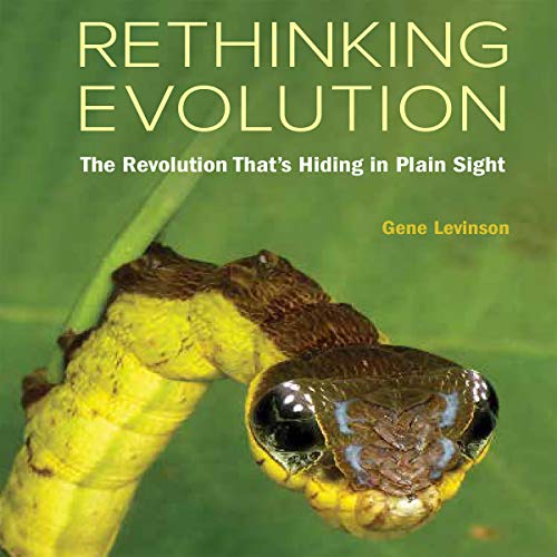 Cover of Rethinking Evolution