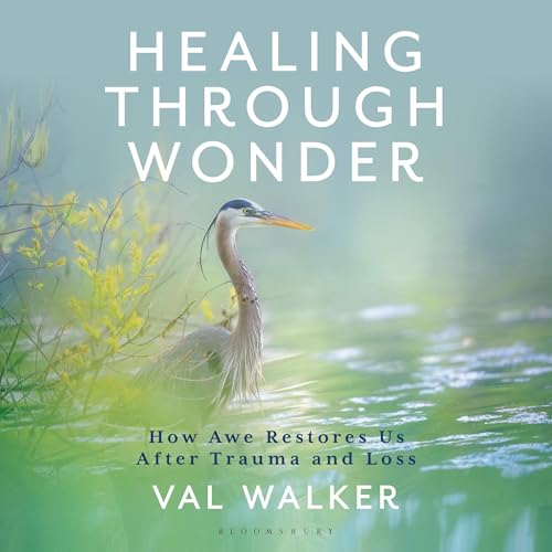 Cover of Healing Through Wonder