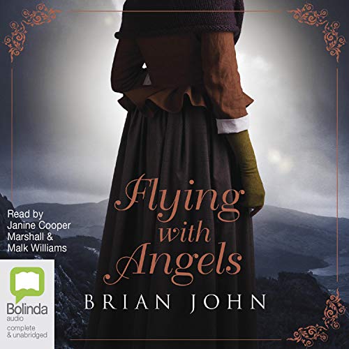 Cover of Flying with Angels